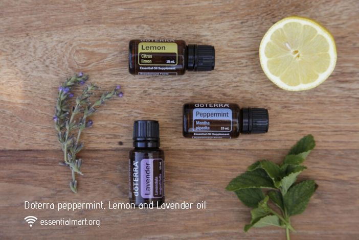 doTERRA oil kit